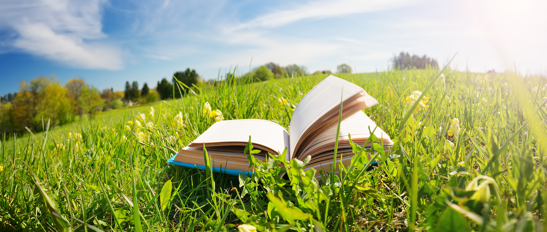 open book in a field